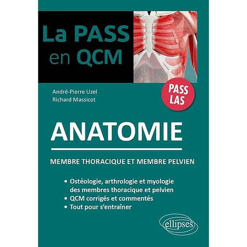 Anatomie : membre thoracique et membre pelvien