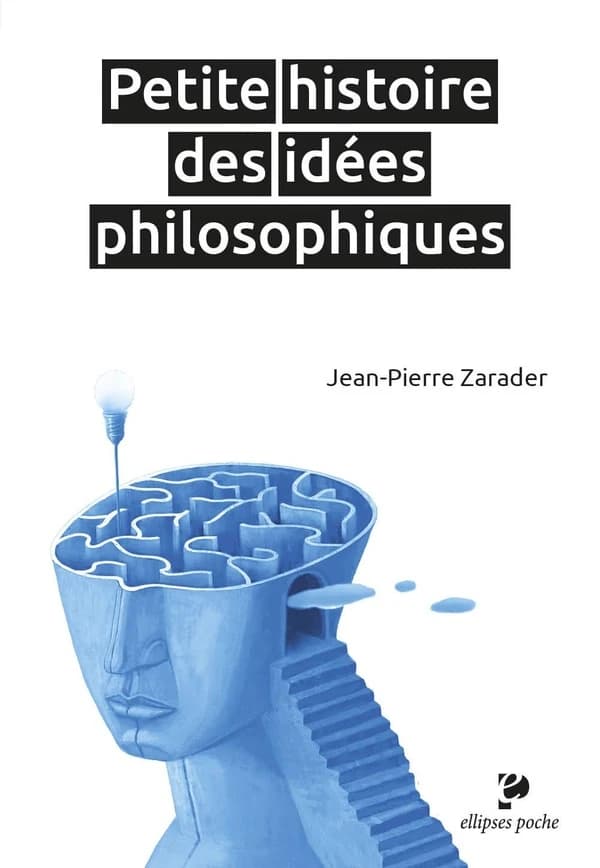Petite histoire des idées philosophiques ; suivie d'un essai Le statut de l'oeuvre d'art chez André Malraux