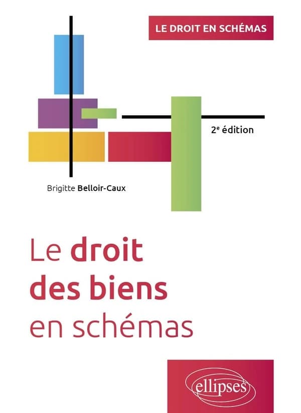 Le droit des biens en schémas (2e éd.)