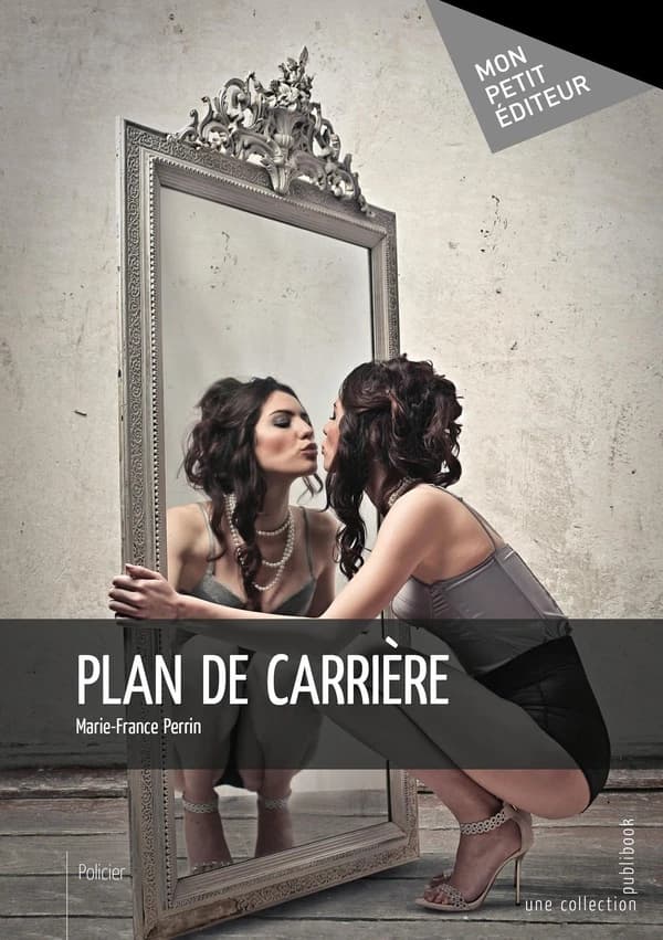 Plan de carrière