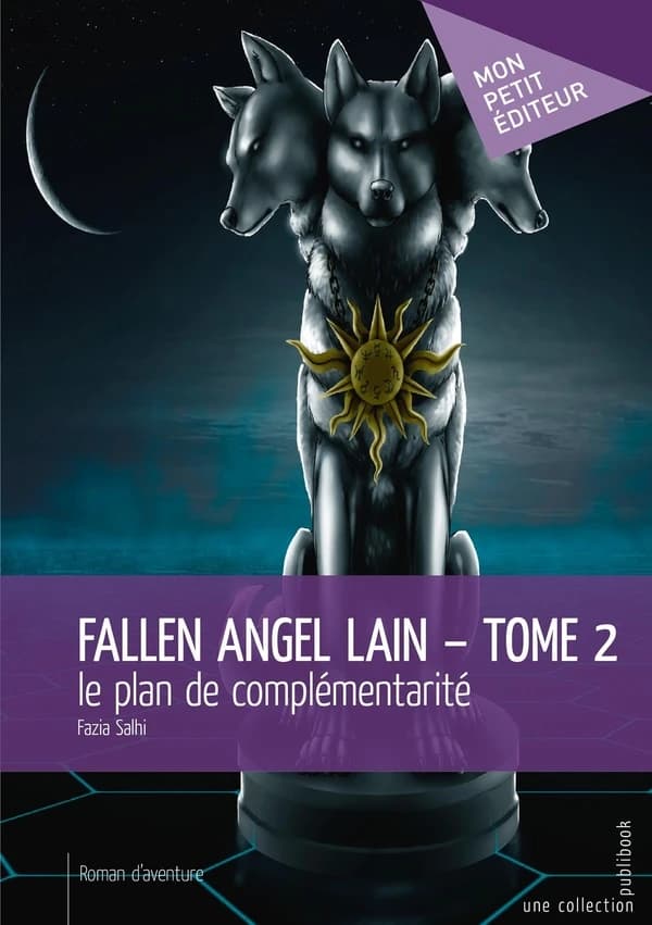 Le plan de complémentarité