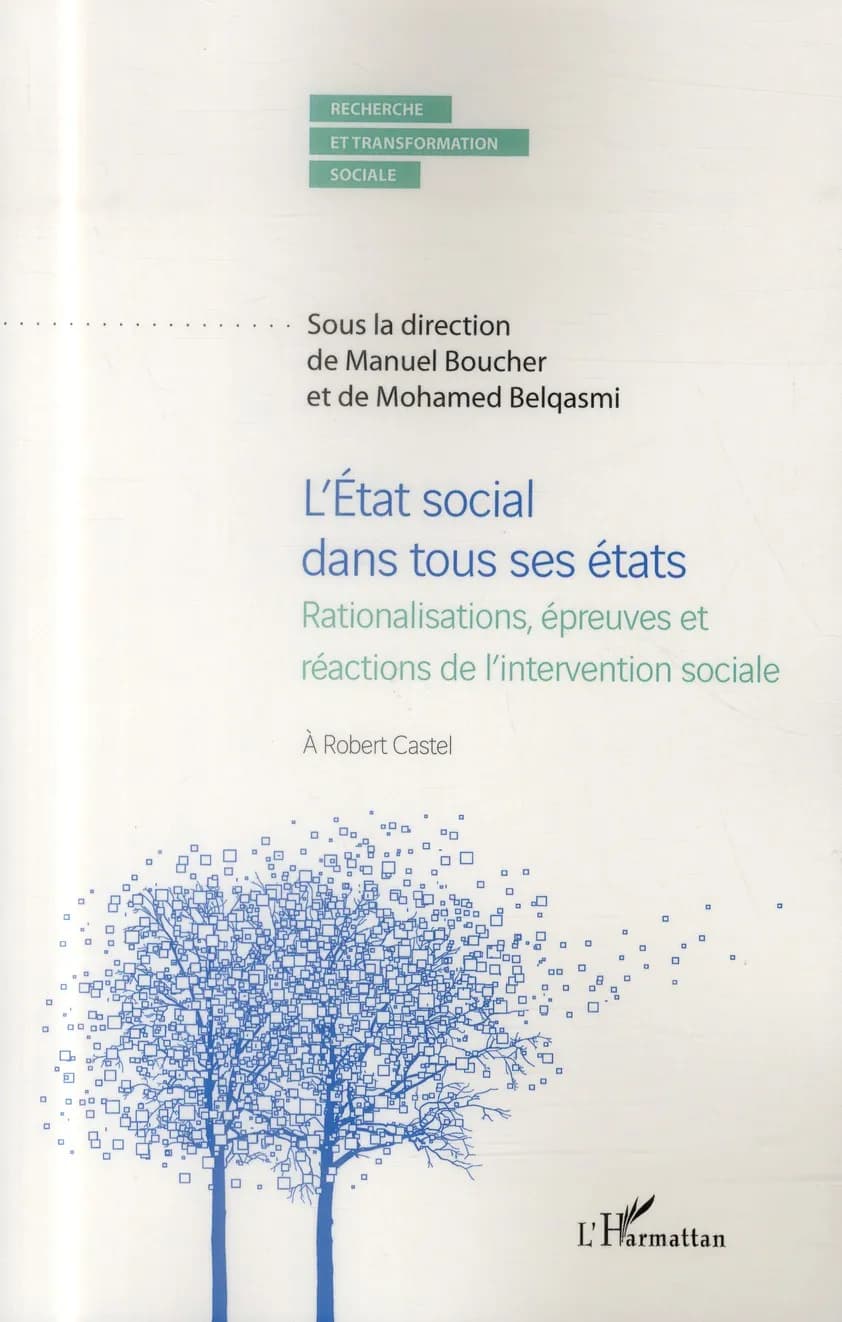 L'État social dans tous ses états : rationalisations, épreuves et réactions de l'intervention sociale