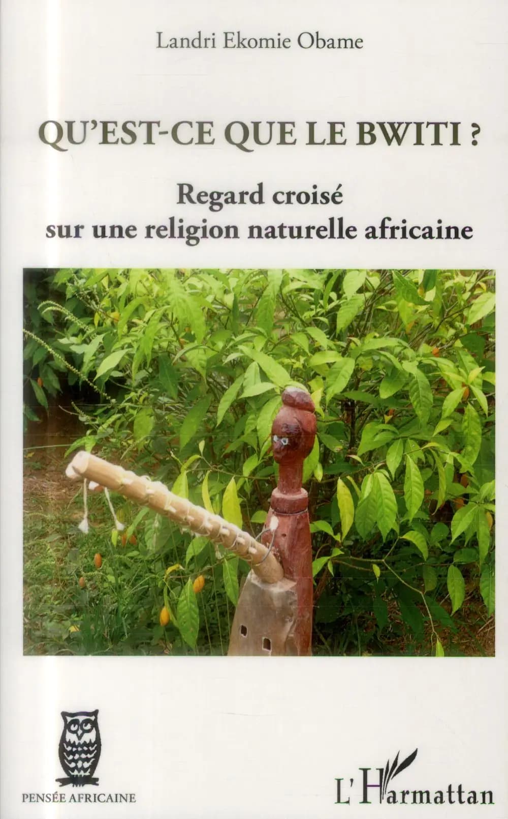 Qu'est-ce que le bwiti ? : regard croisé sur une religion naturelle africaine