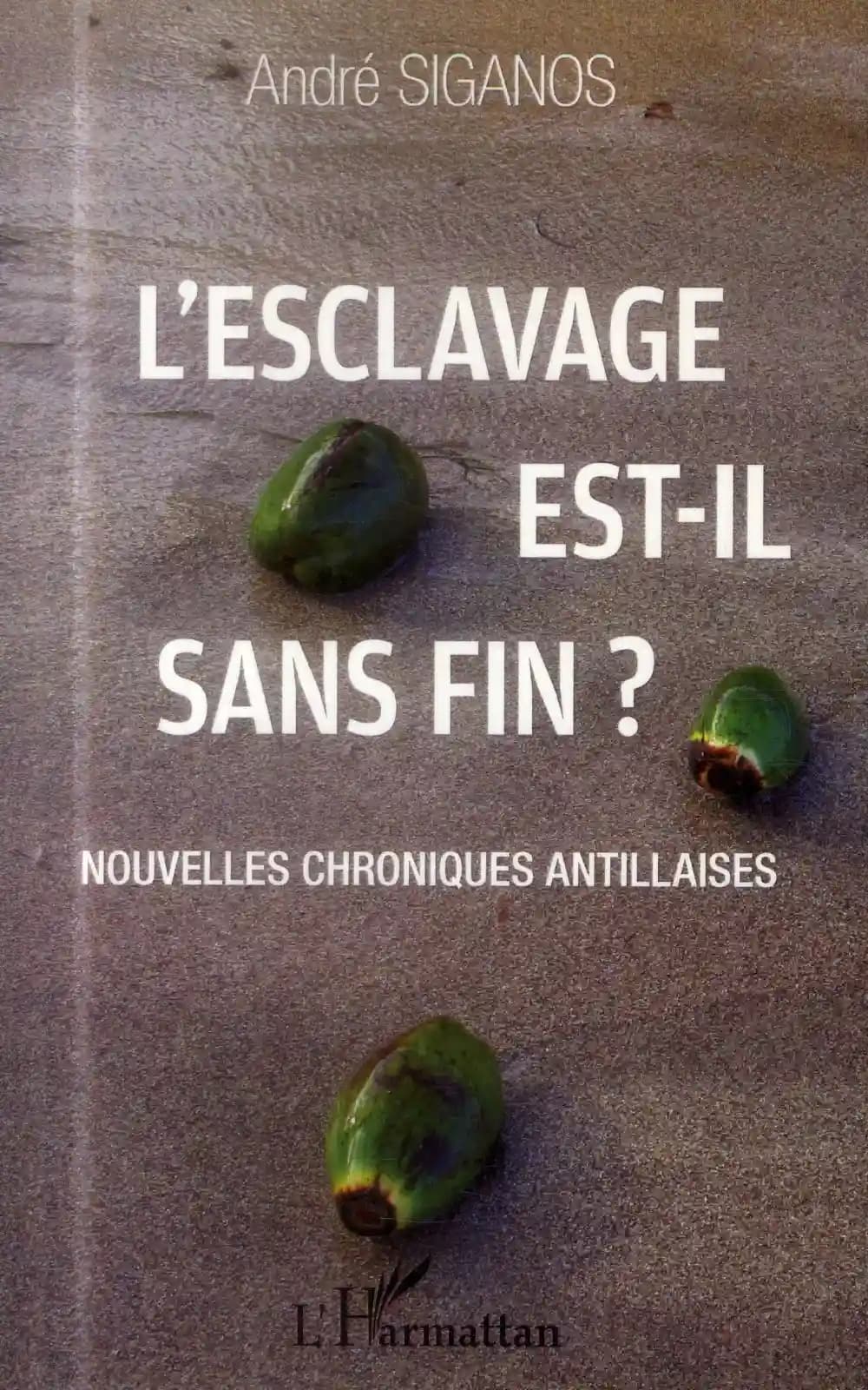 L'esclavage est-il sans fin ? : nouvelles chroniques antillaises