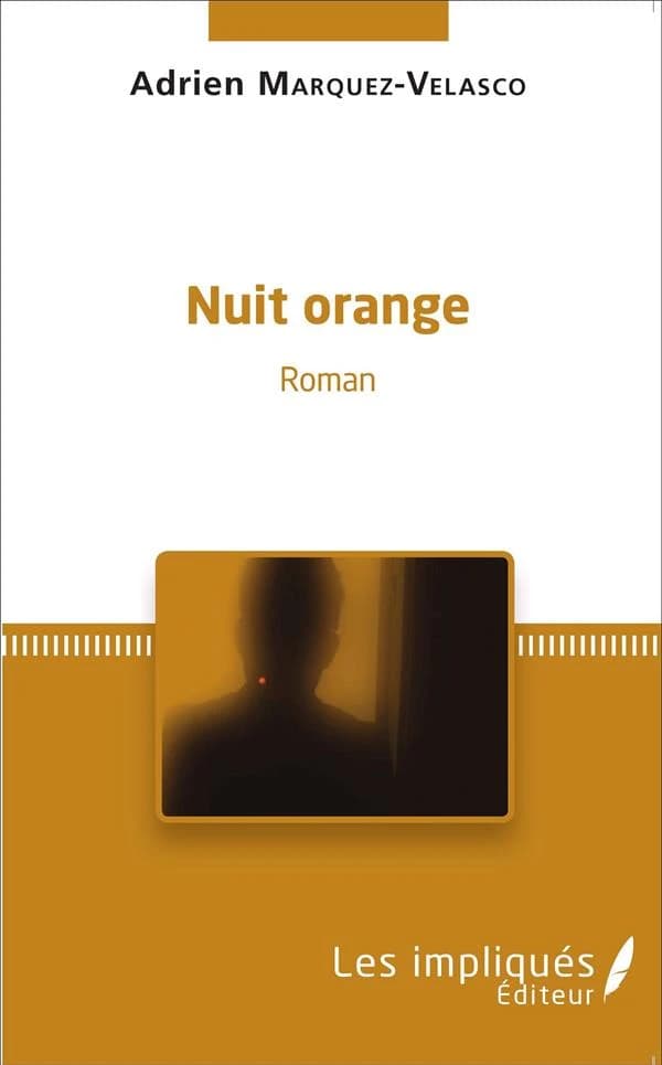 Nuit orange : roman