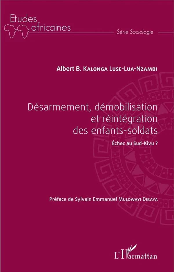 Désarmement, démobilisation et réintégration des enfants-soldats : échec au Sud-Kivu ?