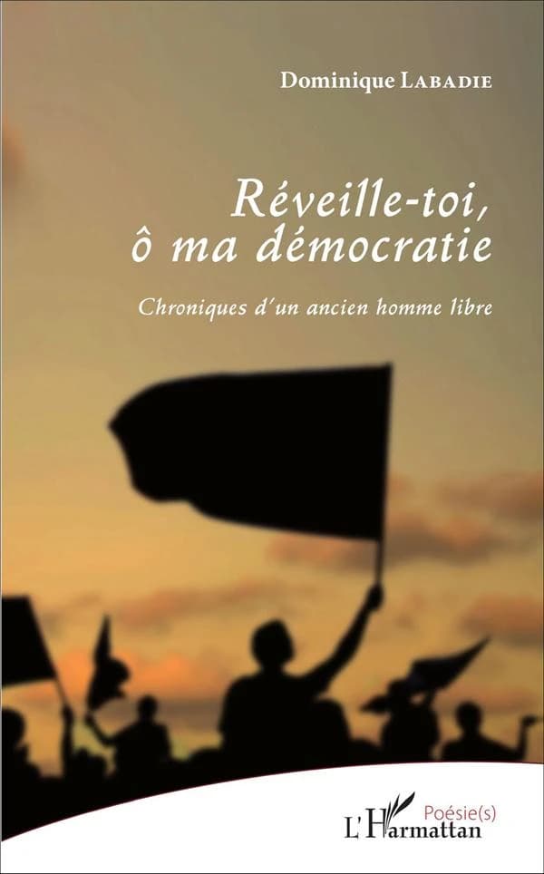 Réveille-toi, ô ma démocratie : chroniques d'un ancien homme libre