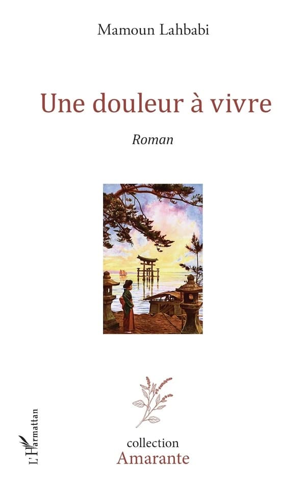 Une douleur à vivre : roman