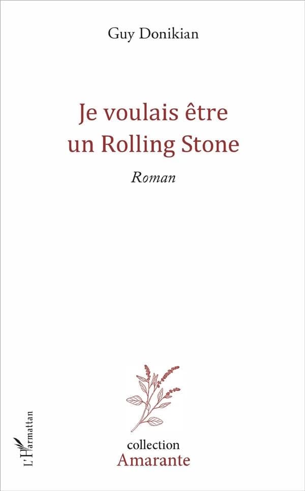 Je voulais être un Rolling Stone : roman
