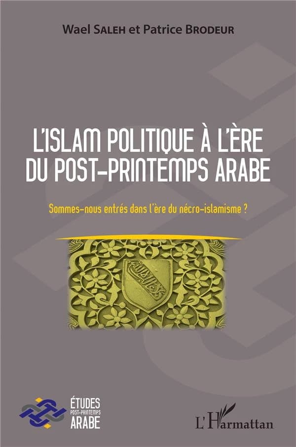 L'islam politique à l'ère du post-Printemps arabe : sommes-nous entrés dans l'ère du nécro-islamisme ?