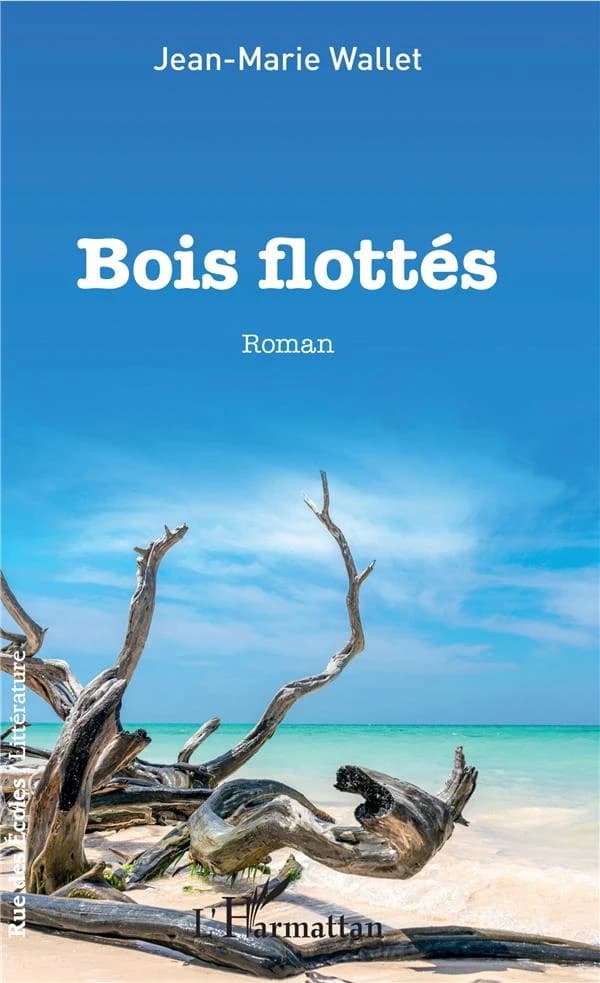Bois flottés : roman
