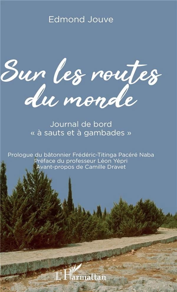 Sur les routes du monde : journal de bord à saut et à gambades