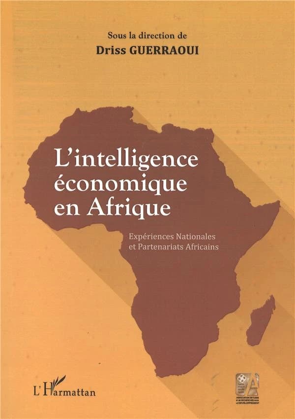 L'intelligence économique en Afrique : Expériences Nationales et Partenariats Africains