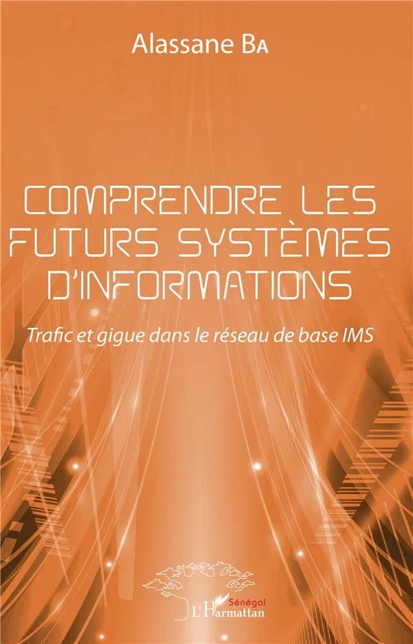 Comprendre les futurs systèmes d'informations : trafic et gigue dans le réseau de base IMS