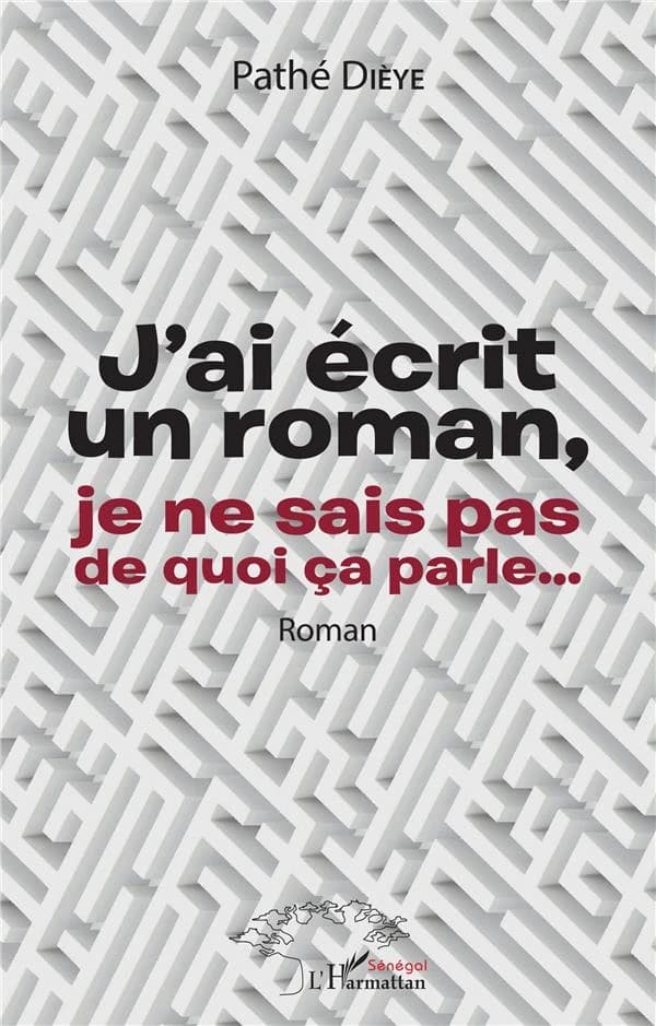 J'ai écrit un roman, je ne sais pas de quoi ça parle : roman