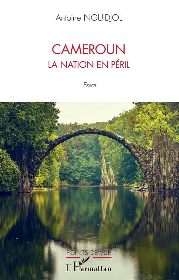 Cameroun, la nation en péril : essai