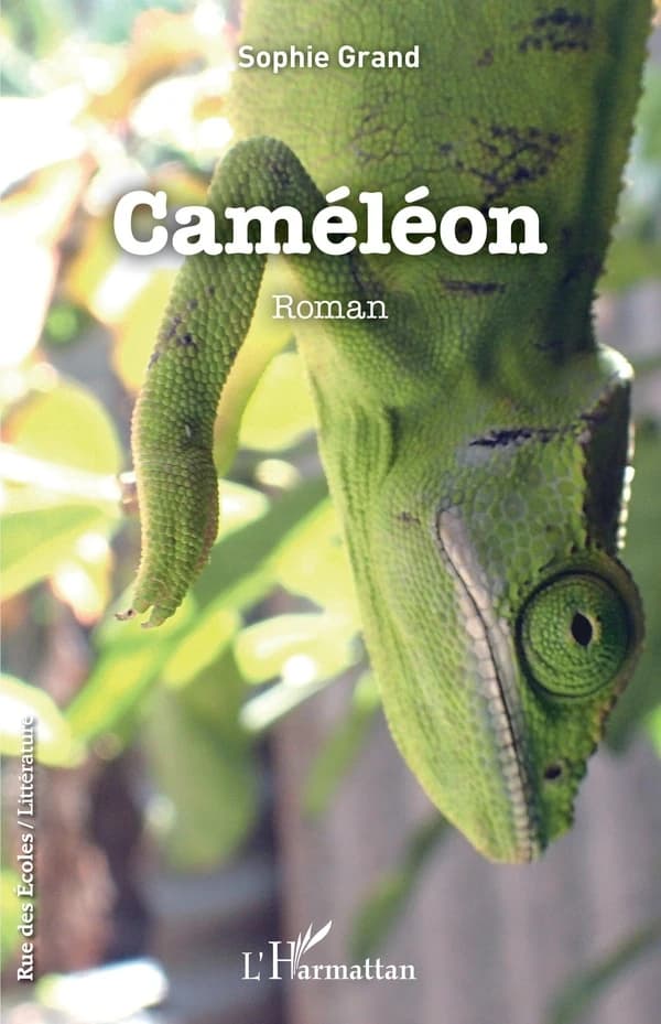 Caméléon : roman