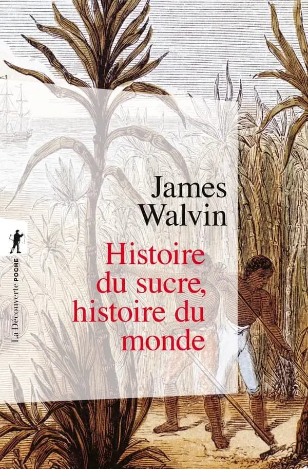 Histoire du sucre, histoire du monde (Nouvelle éd.) James Walvin ; traduit de l'anglais par Philippe Pignarre