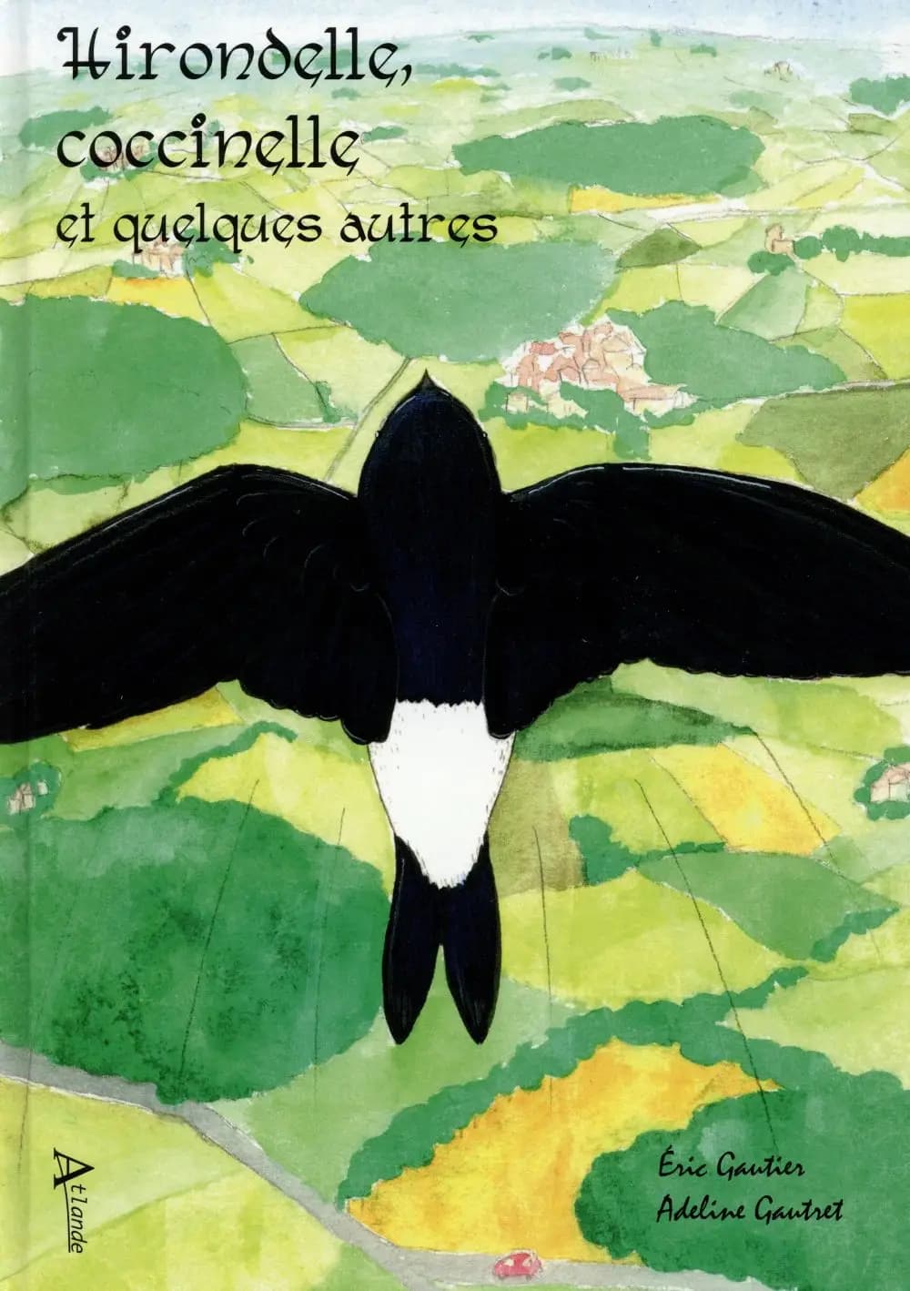 Hirondelle, coccinelle et quelques autres