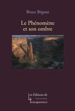 Après Husserl : le phénomène et son ombre
