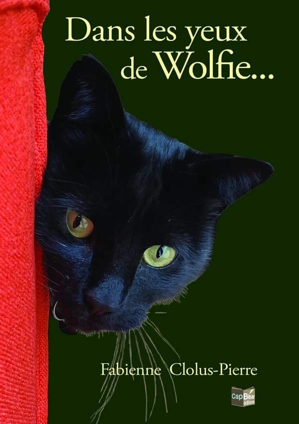 Dans les yeux de Wolfie
