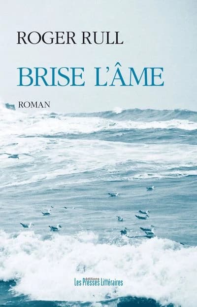 Brise l'âme : roman