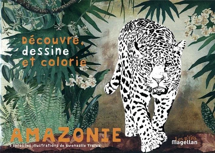Amazonie : découvre, dessine et colorie les animaux de la forêt amazonienne