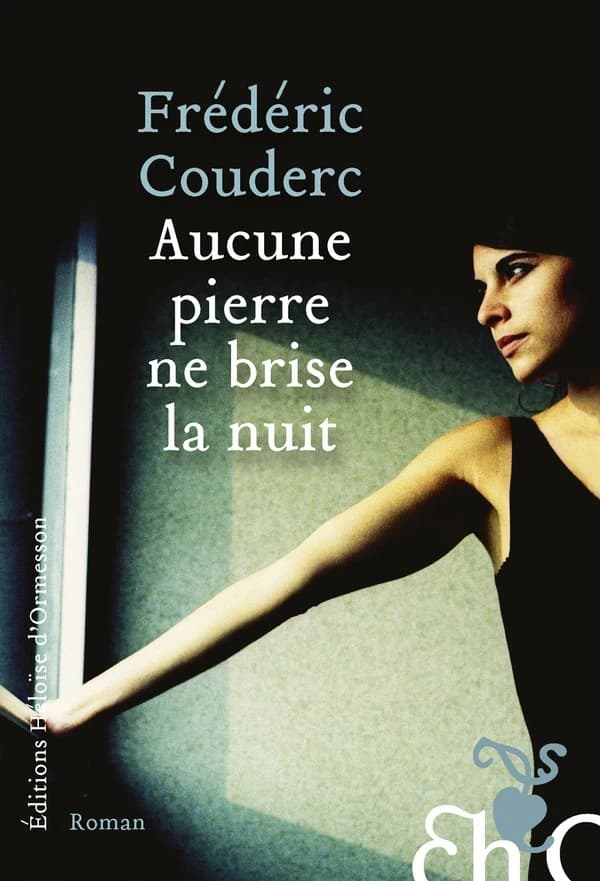 Aucune pierre ne brise la nuit : roman