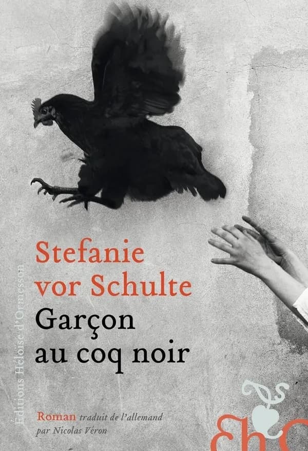 Garçon au coq noir : roman