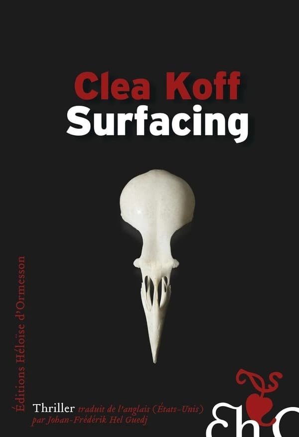 Surfacing : roman