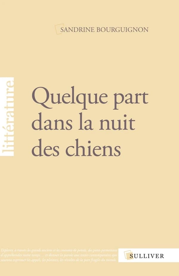 Quelque part dans la nuit des chiens