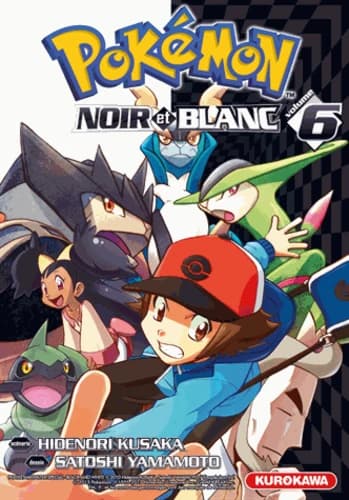 Pokémon noir et blanc. Volume 6