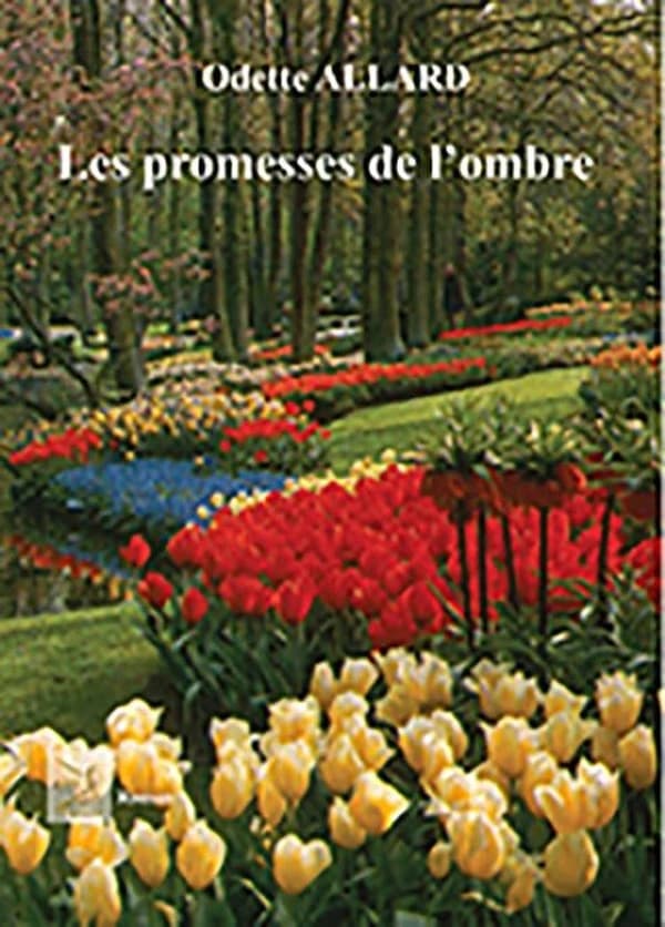 Les promesses de l'ombre