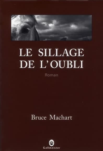 Le sillage de l'oubli : roman