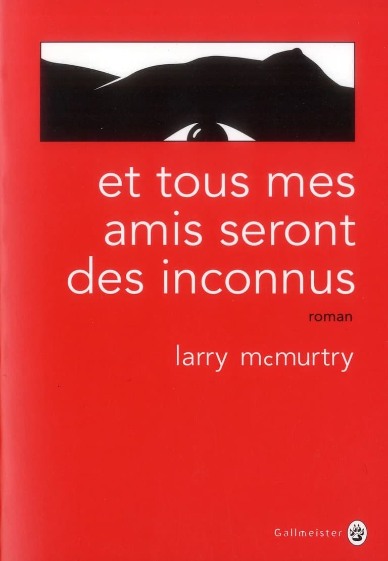 Et tous mes amis seront des inconnus : roman