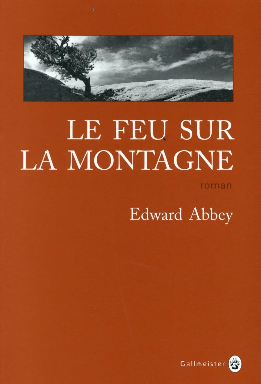 Le feu sur la montagne : roman