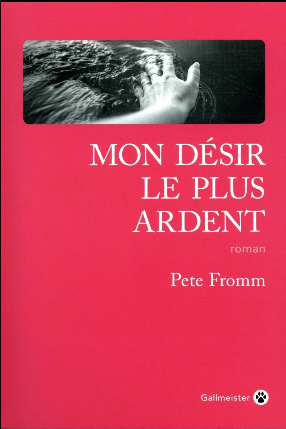 Mon désir le plus ardent : roman