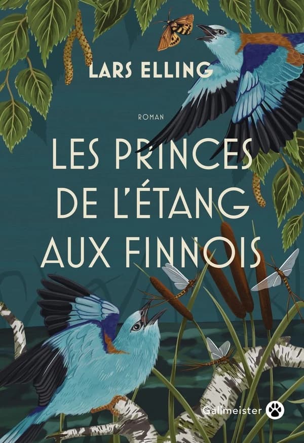 Les princes de l'étang aux Finnois : roman