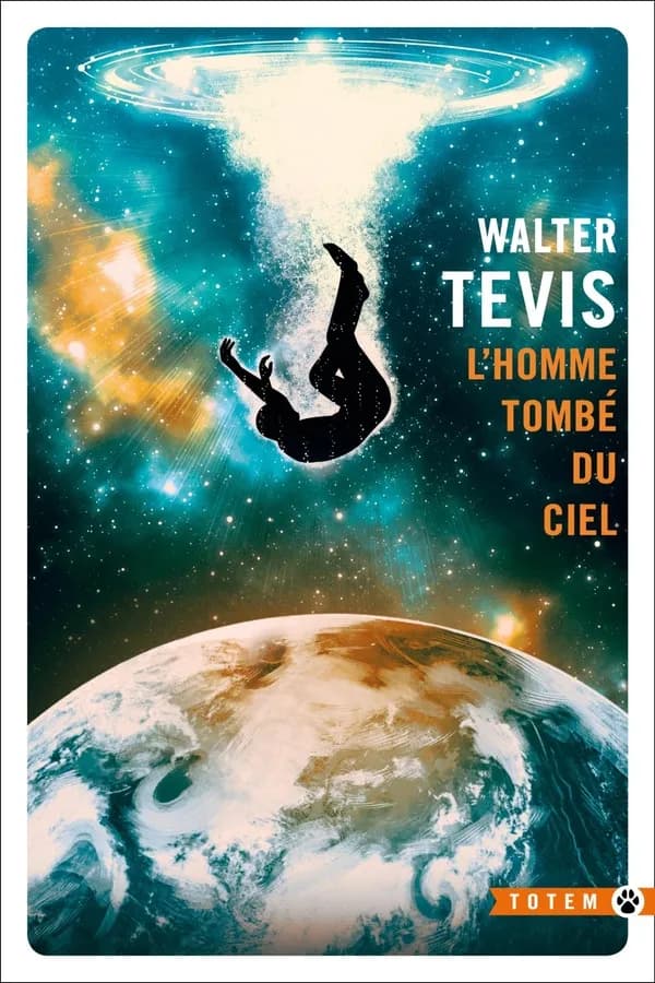 L'homme tombé du ciel : roman