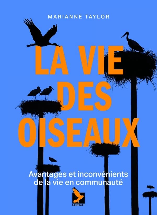 La vie des oiseaux : avantages et inconvénients de la vie en communauté