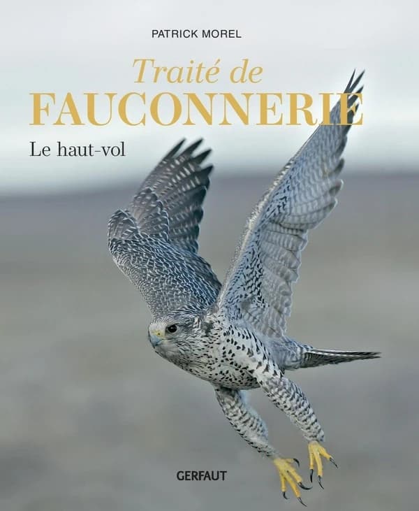 Traité de fauconnerie : le haut-vol