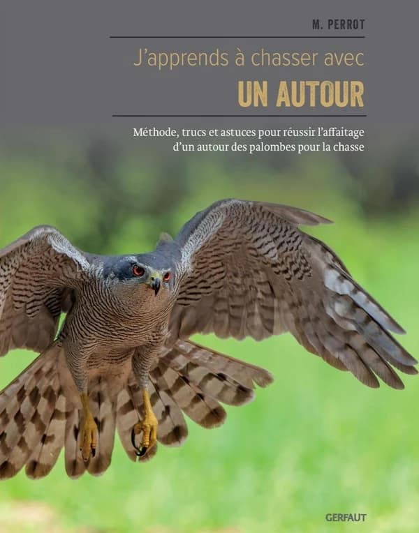 J'apprends à chasser avec un autour
