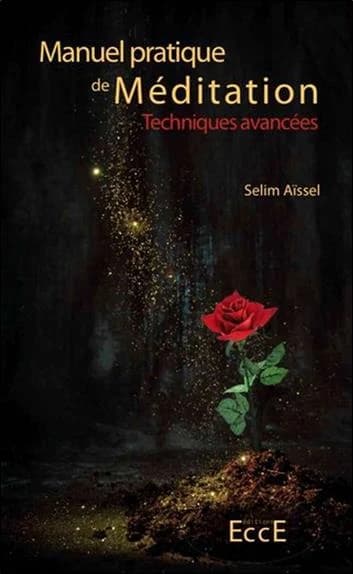 Manuel pratique de méditation. Tome 2, Techniques avancées