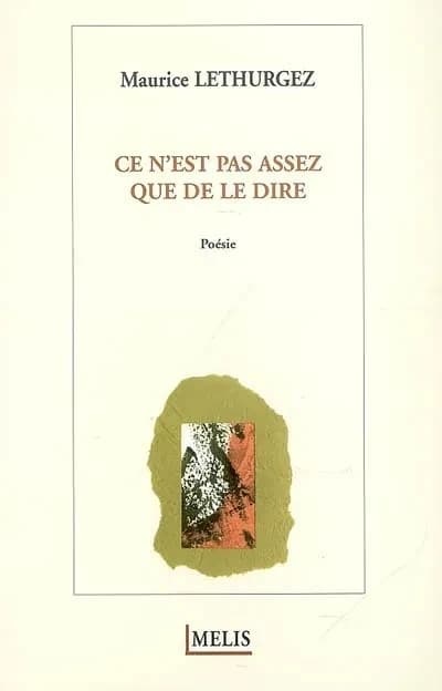 Ce n'est pas assez que de le dire