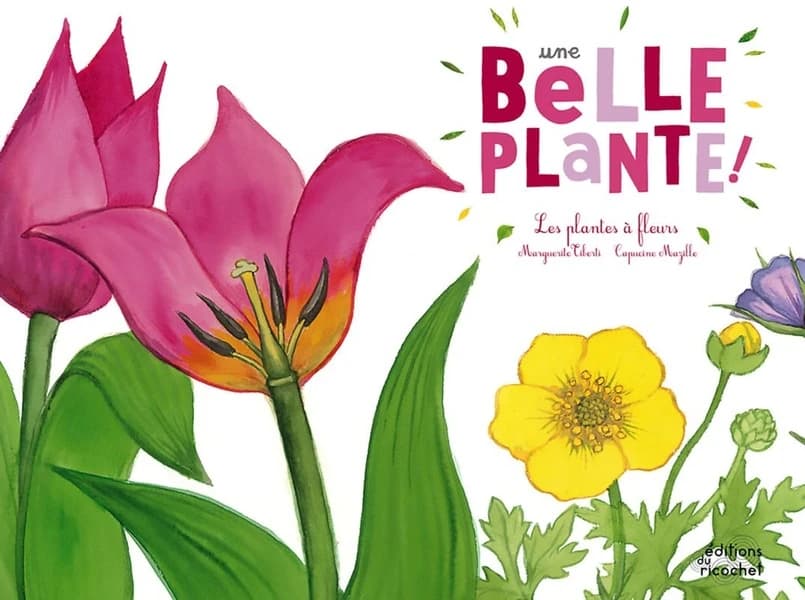 Une belle plante ! : les plantes à fleurs (3e éd.) Marguerite Tiberti, Capucine Mazille