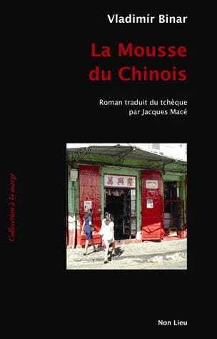 La mousse du Chinois : roman