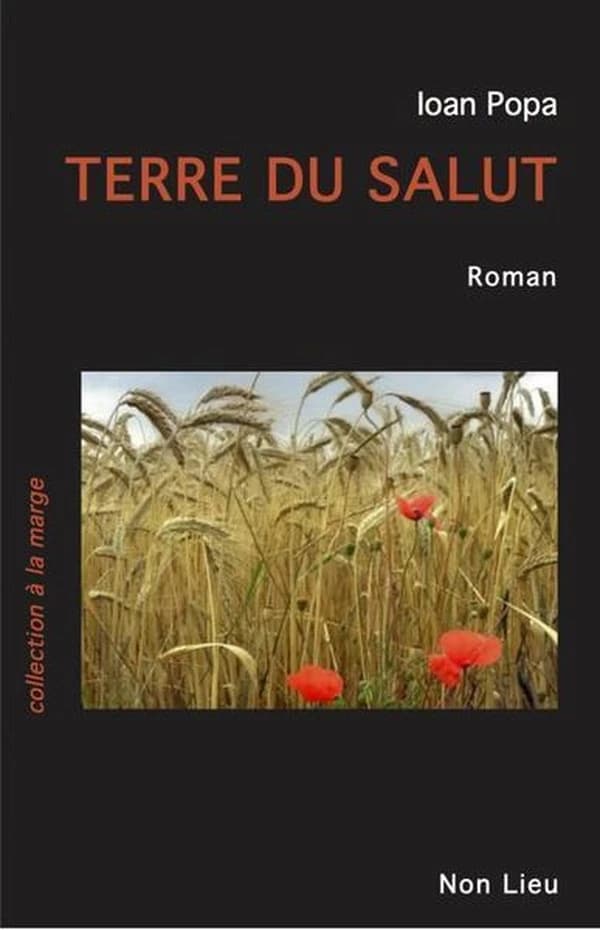 Terre du salut : roman