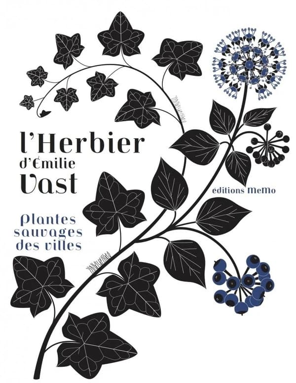 L'herbier d'Émilie Vast : plantes sauvages des villes