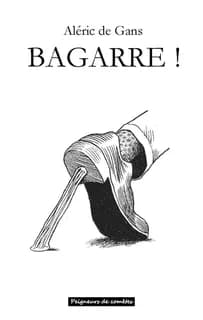 Bagarre !