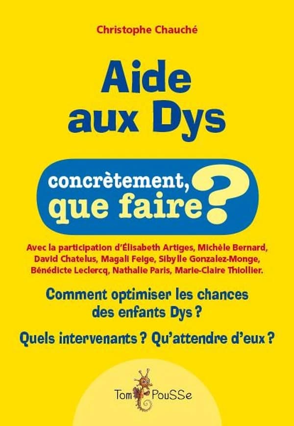 Aide aux dys : concrètement, que faire ? : [comment optimiser les chances des enfants dys ? Quels intervenants ? Qu'attendre d'eux ?]